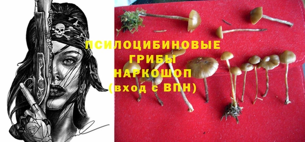 сатива Михайловка