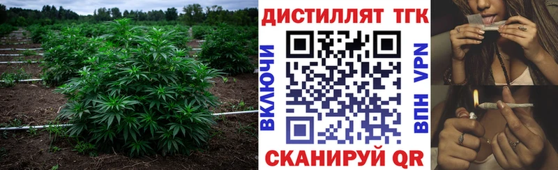MEGA зеркало  Артём  ТГК вейп с тгк 