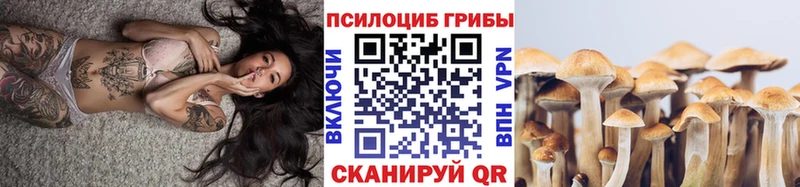 Галлюциногенные грибы прущие грибы  Артём 